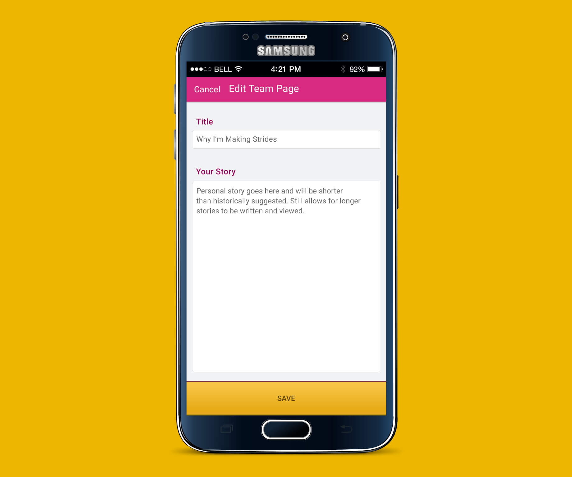 Image of Making Strides Personal Page Edit screen