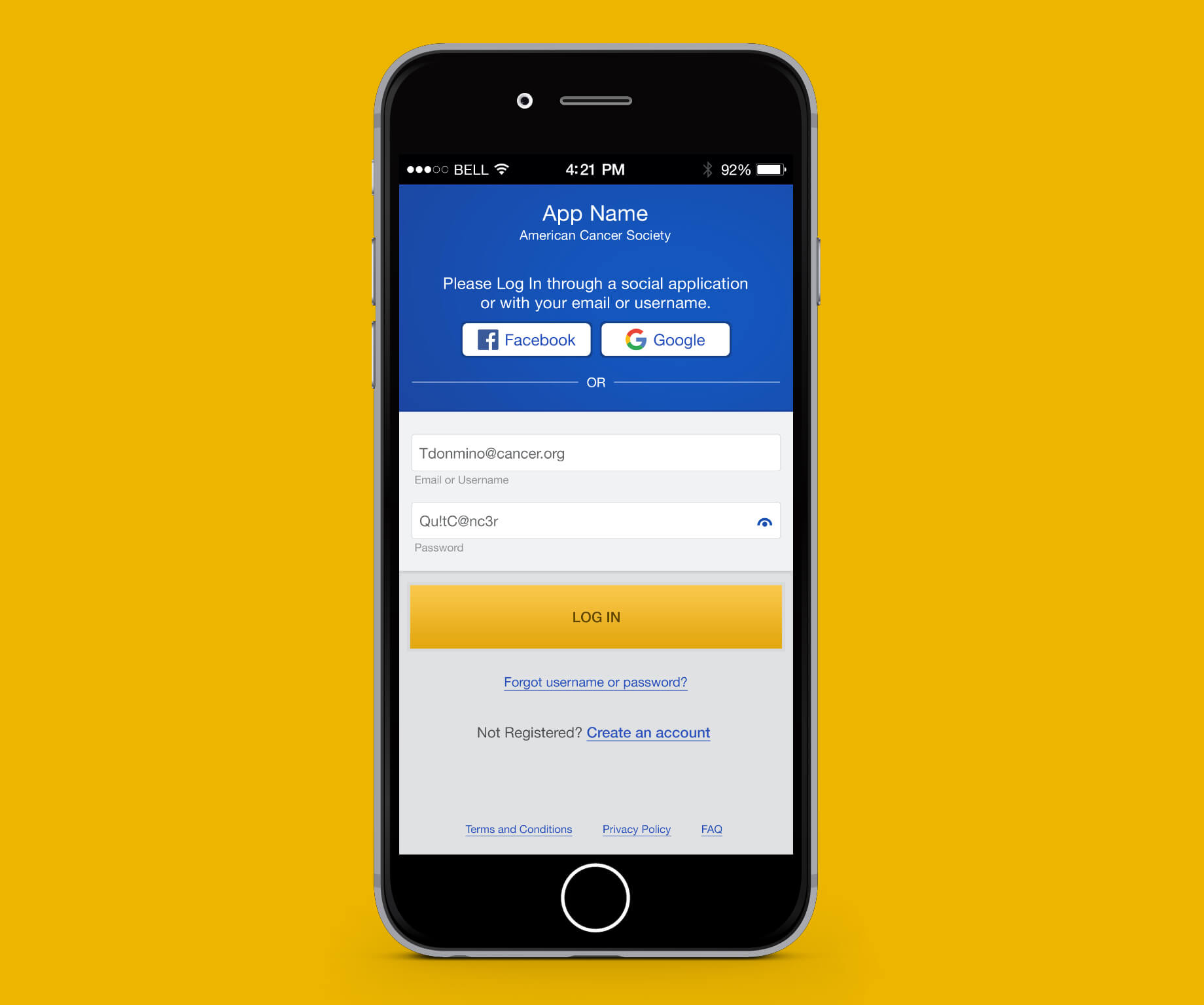 Image of Log In screen