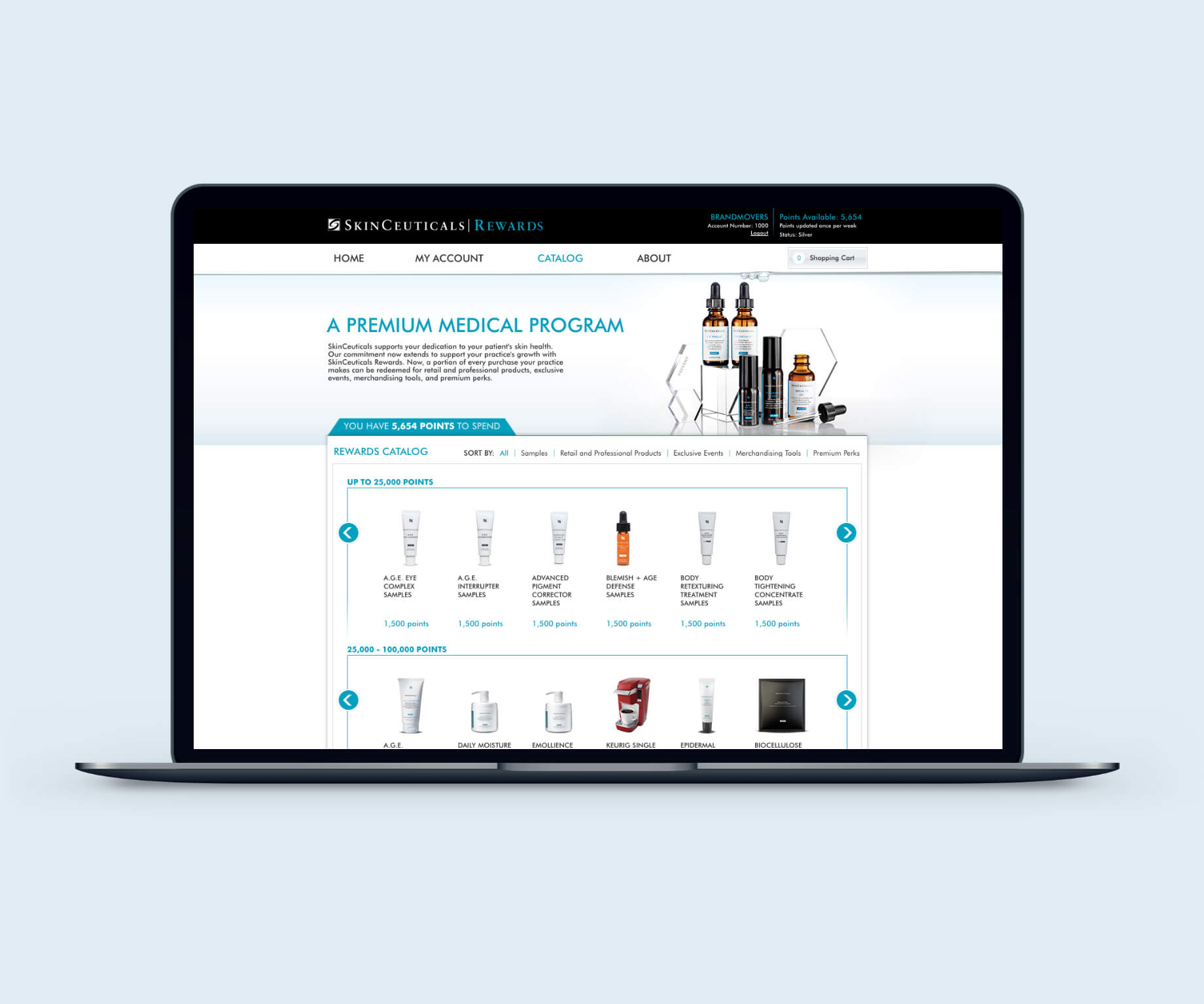 Image of SkinCeuticals Catalog Page Design
