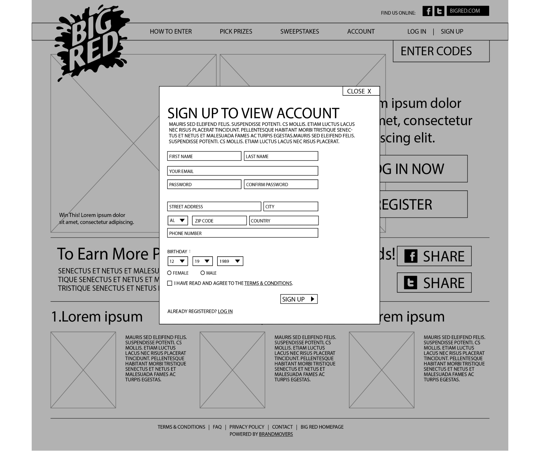 American Cancer Society past and present design