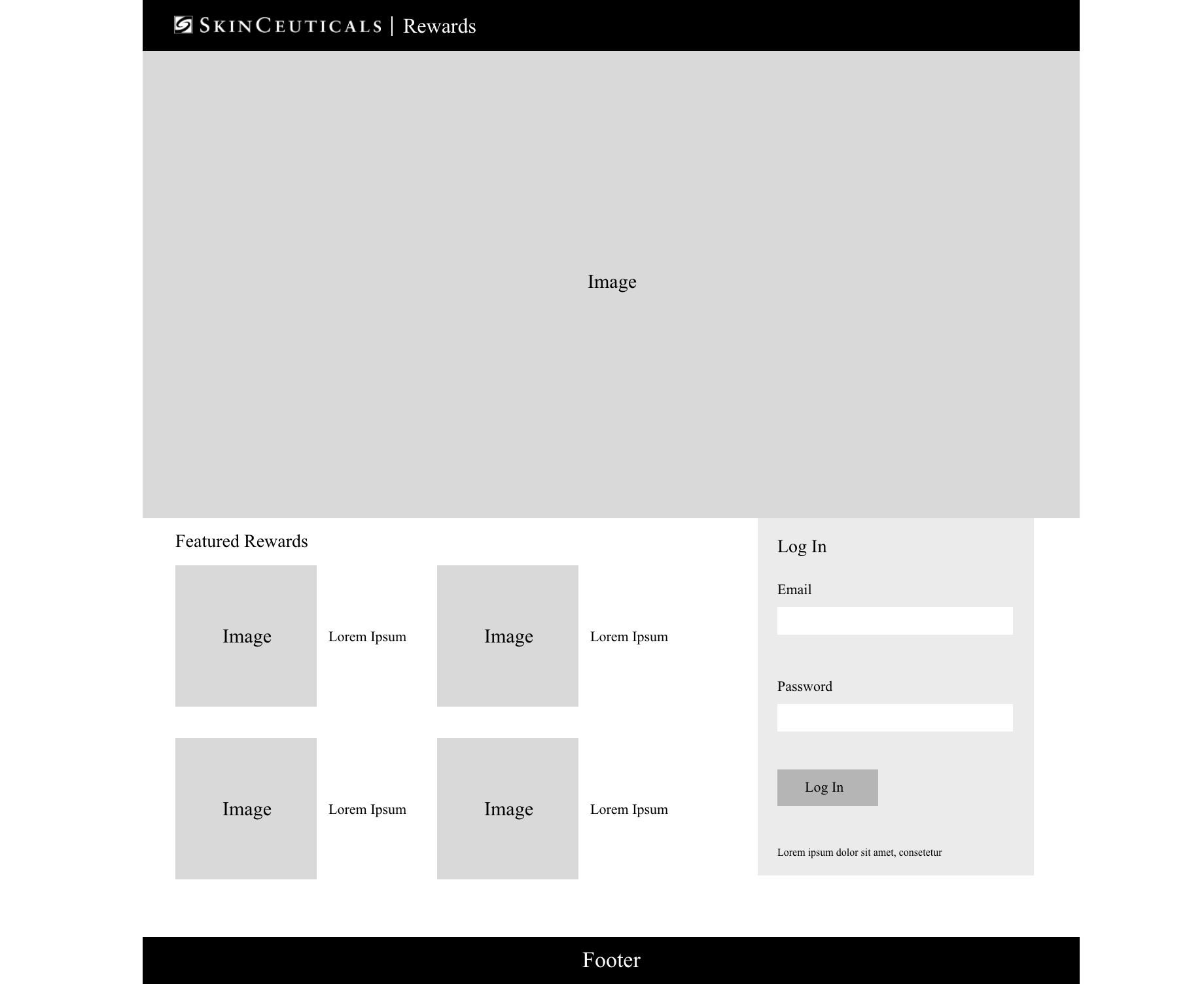 Image of SkinCeuticals homepage wireframe